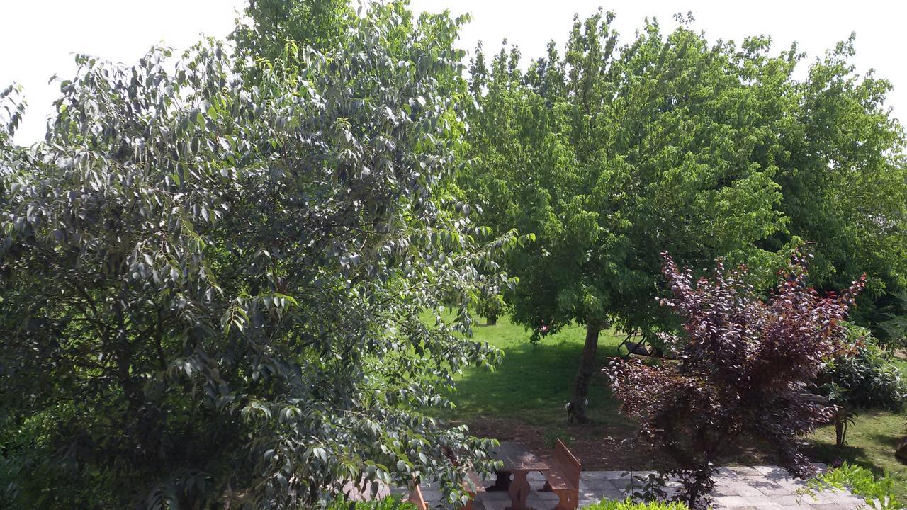הוילה וליג'יו סול מיניציו Agriturismo La Pace מראה חיצוני תמונה